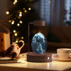 Crystal Ball Cosmic Dinosaur Indoor Night Light USB Power Warm Bedside Light Birthday Gift Night Lamp