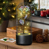 Creative 2 In 1 Rose Flowers LED Light And Bluetooth Speaker Valentine's Day Gift Rose Luminous Night Light Ornament In Glass Cover