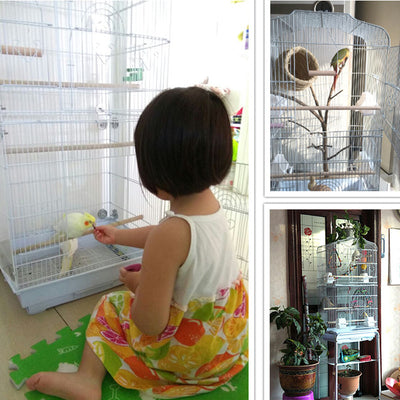 Portable Pet Display Cage Wire Bird Cage Parrot Cage