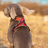 Chicos Pet Store™️ Adjustable Pet Reflective Nylon Harness Safety Vest