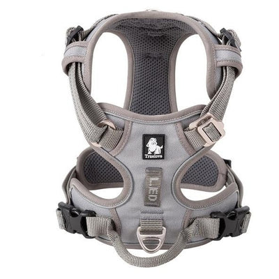 Chicos Pet Store™️ Adjustable Pet Reflective Nylon Harness Safety Vest