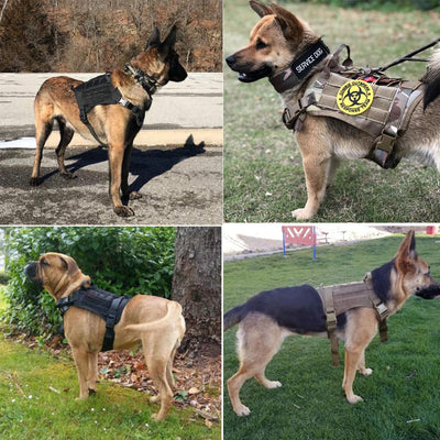Chicos Pet Store™️ Tactical Pet Harness Collar Vest With Handle