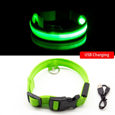 Chicos Pet Store™️ USB Charging Led Dog Collar Anti-Lost