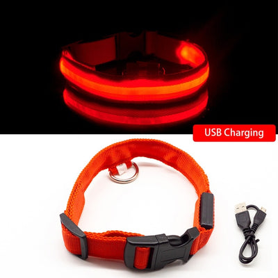 Chicos Pet Store™️ USB Charging Led Dog Collar Anti-Lost