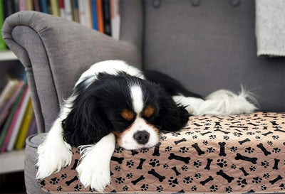 Waterproof & Reusable Puppy Training Pad                  Urine Pad Puppy Pee Fast Absorbing Pad Rug for Pet Sleep Soft Carpet Blanket